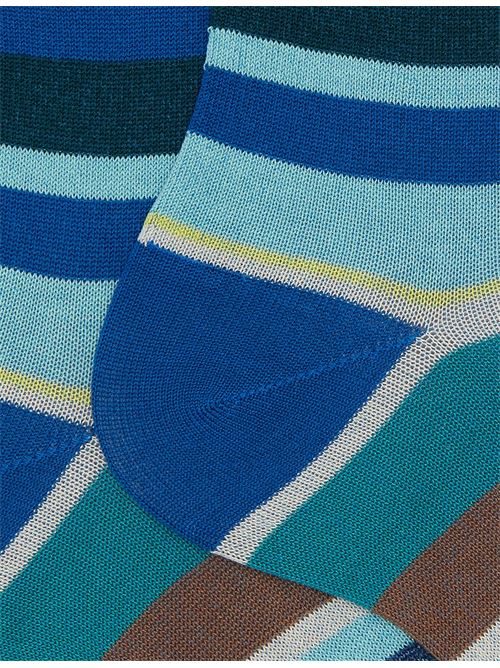 AP10348032836 FANTASIA gallo | AP10348032836 FANTASIA